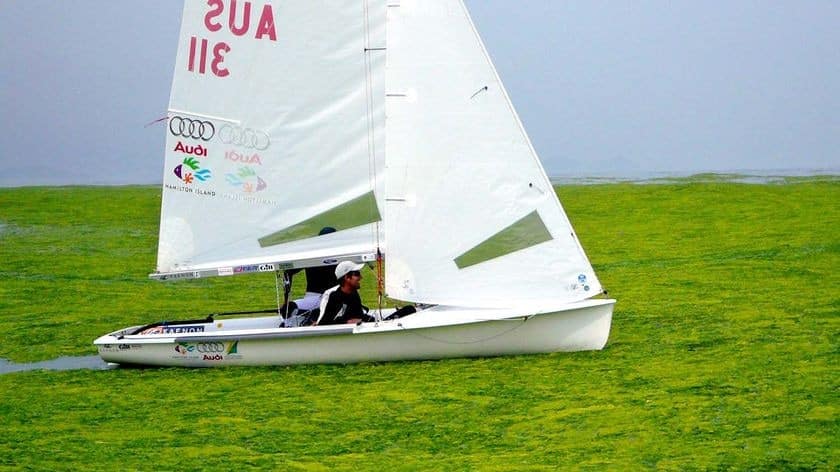 Australia’s 470 men’s sailing team, Nathan Wilmot and Malcolm Page, maneuver through algae on the sailing course at the Beijing Olympics in Qingdao.