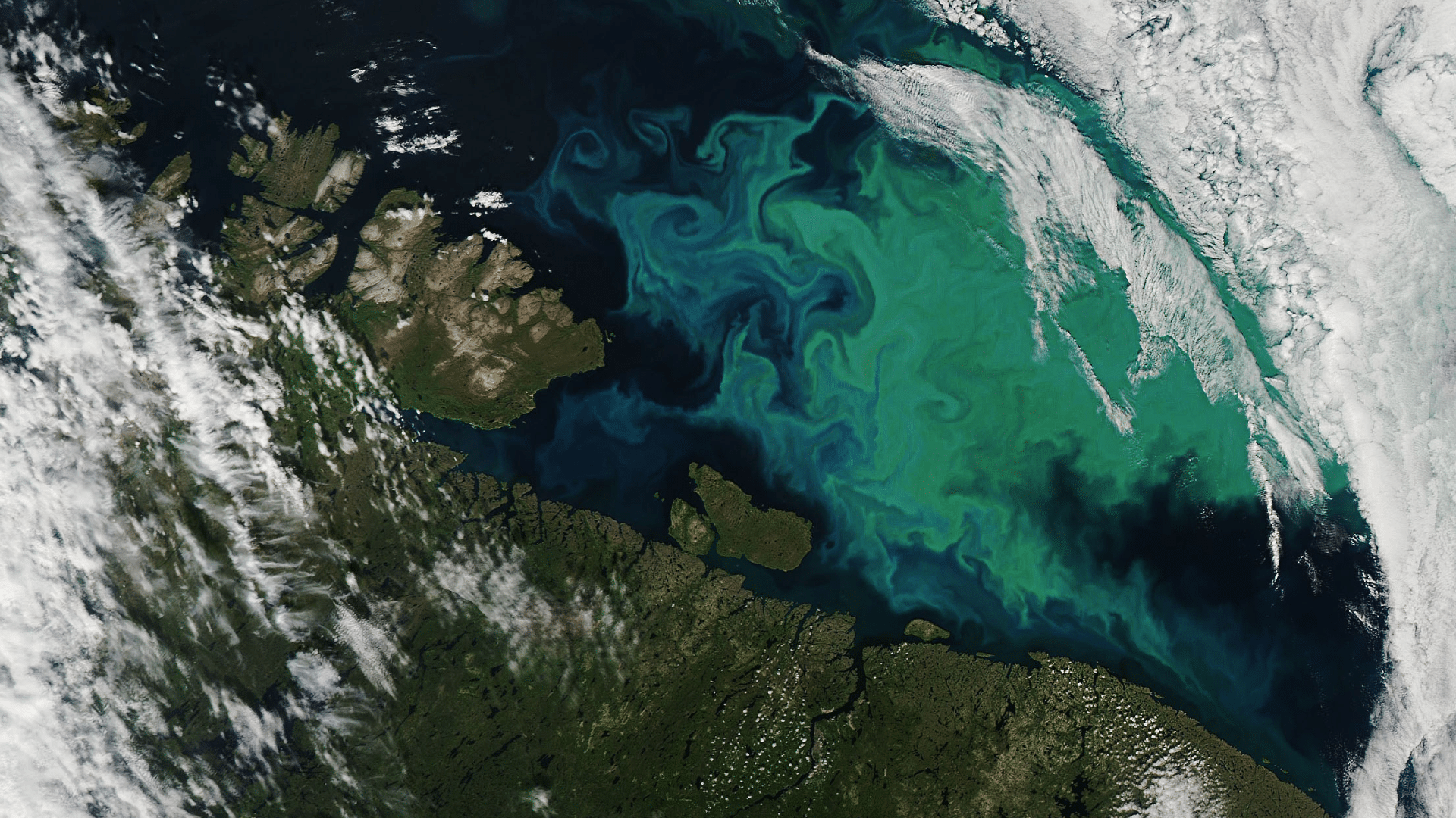 Blue and Green Blooms in the Barents Sea