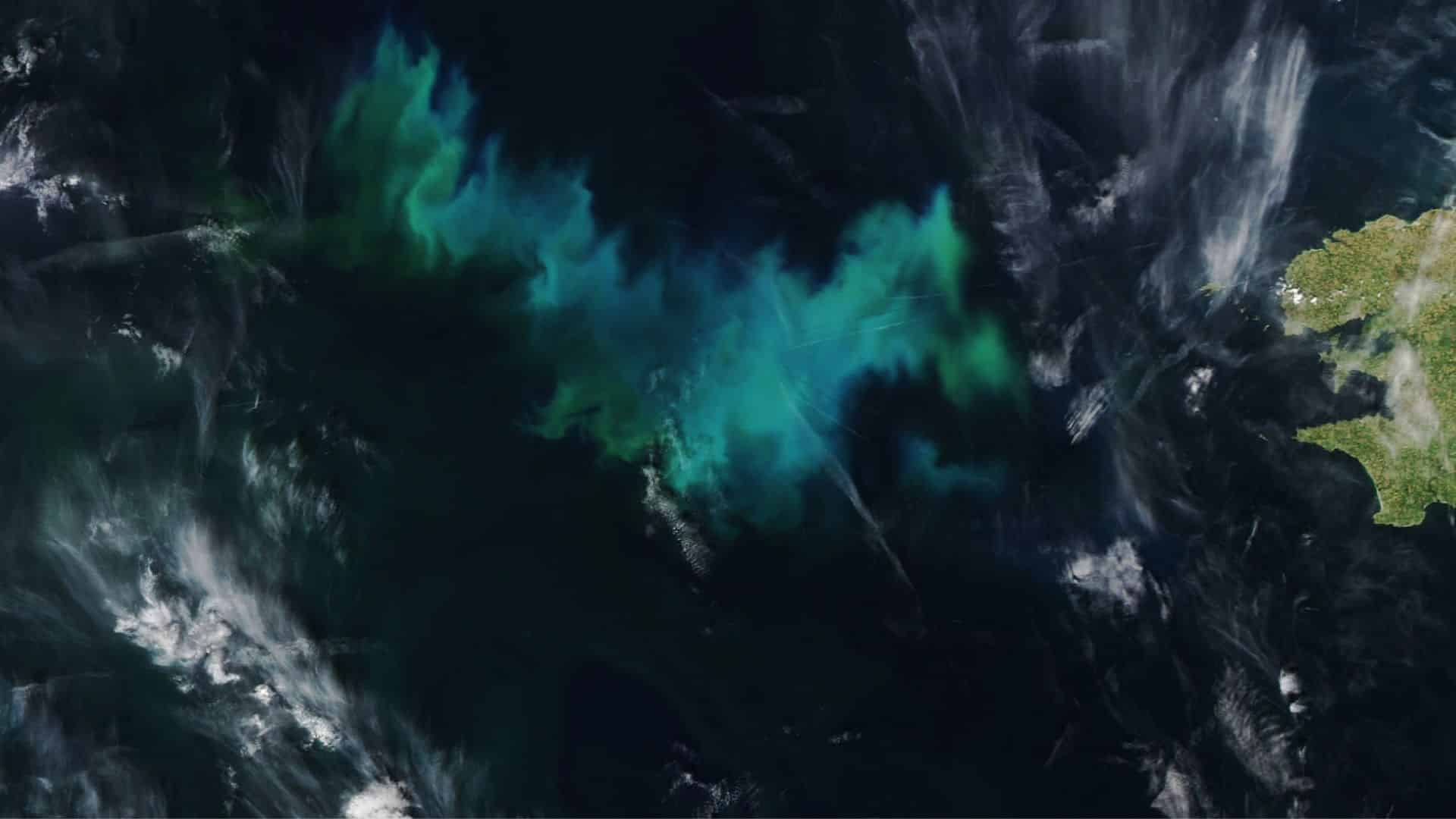 Phytoplankton blooms in the Celtic Sea