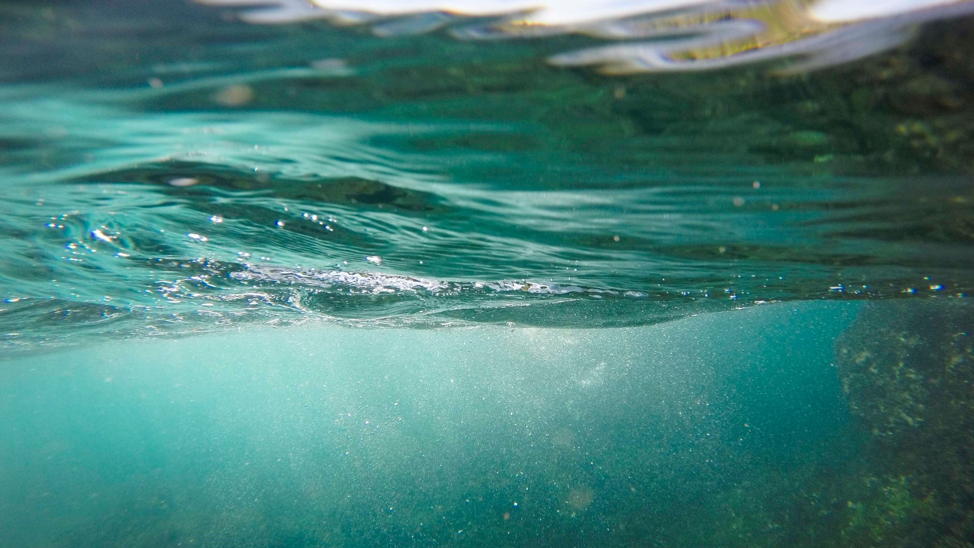 Underwater - algae bloom