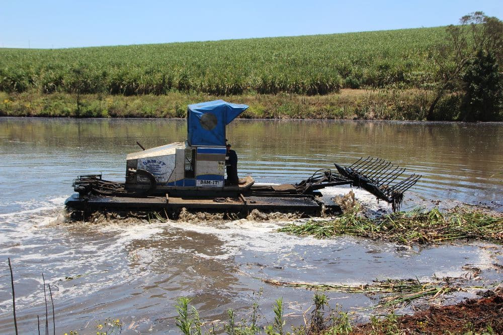 Dredging algal blooms worsen the conditions