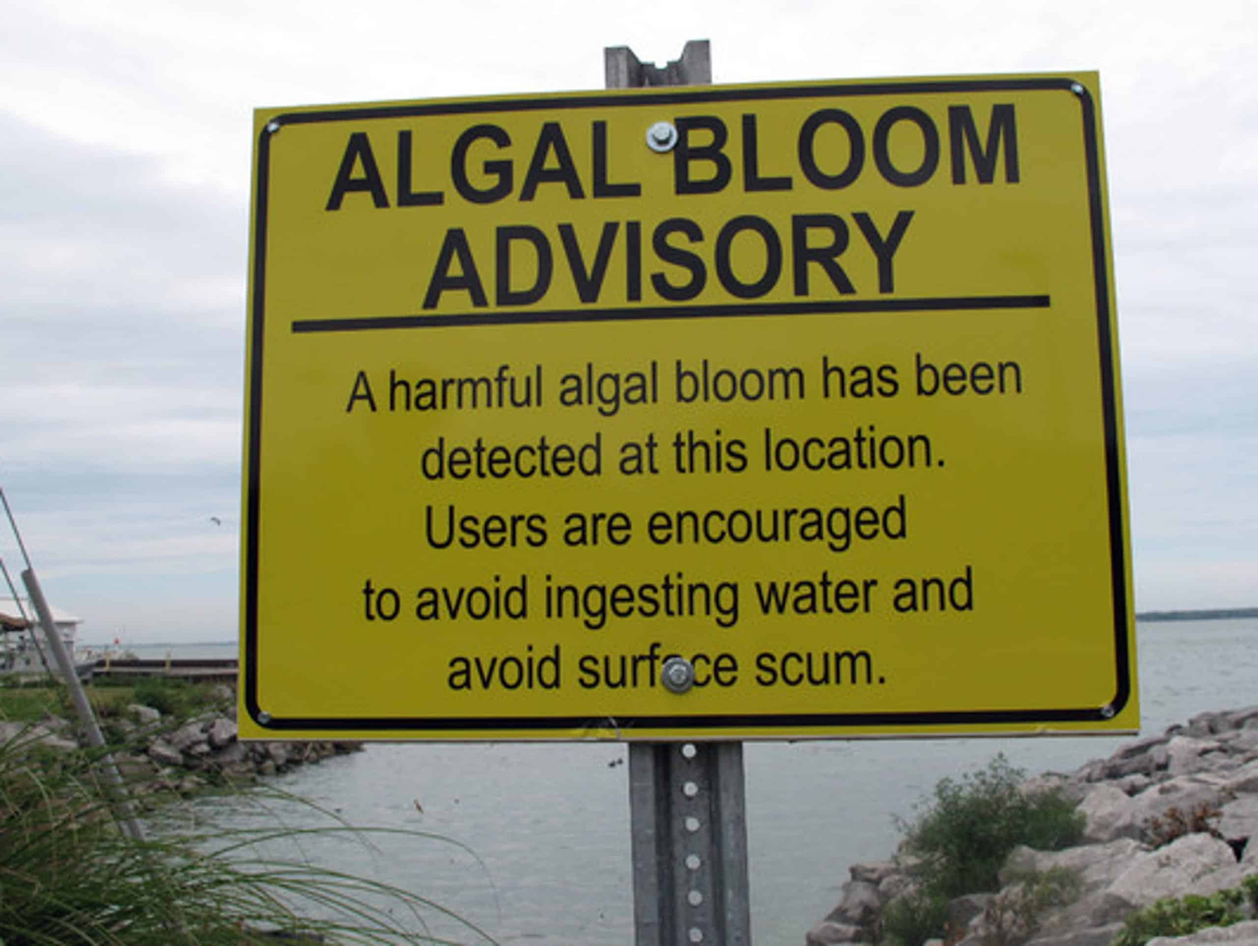 Una señal de advertencia aconseja a los usuarios del lago Erie evitar el contacto con el florecimiento activo de algas en la bahía de Sandusky por motivos de salud. Crédito de la foto: Brenda Culler, Departamento de Recursos Naturales de Ohio