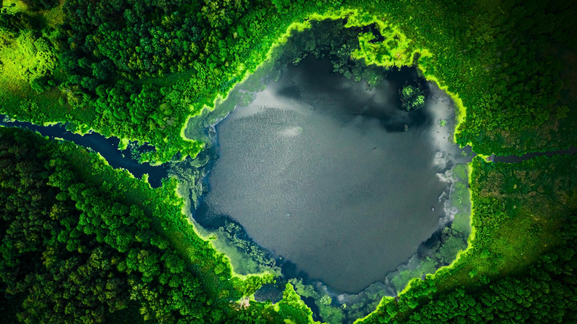 A beautiful lake lies between the green forest