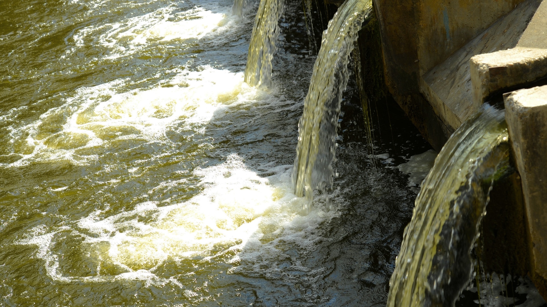 aguas verdes que fluyen de los campos agrícolas al río