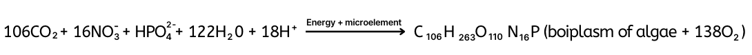 The equation illustrates how algae use nutrients (carbon, nitrogen, phosphorus) and sunlight to grow, producing oxygen as a byproduct.
