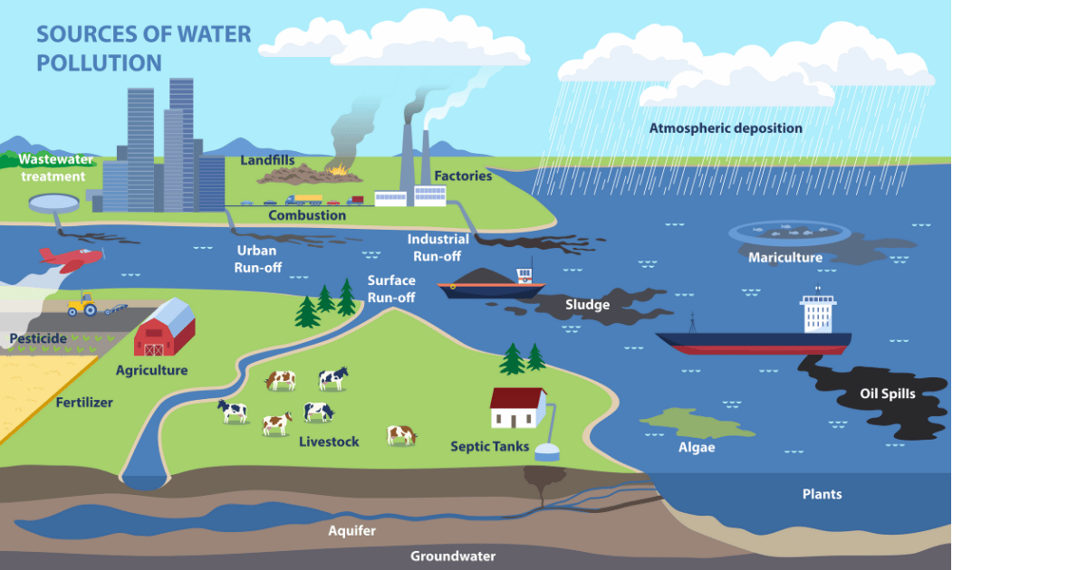 Surface water pollution algae