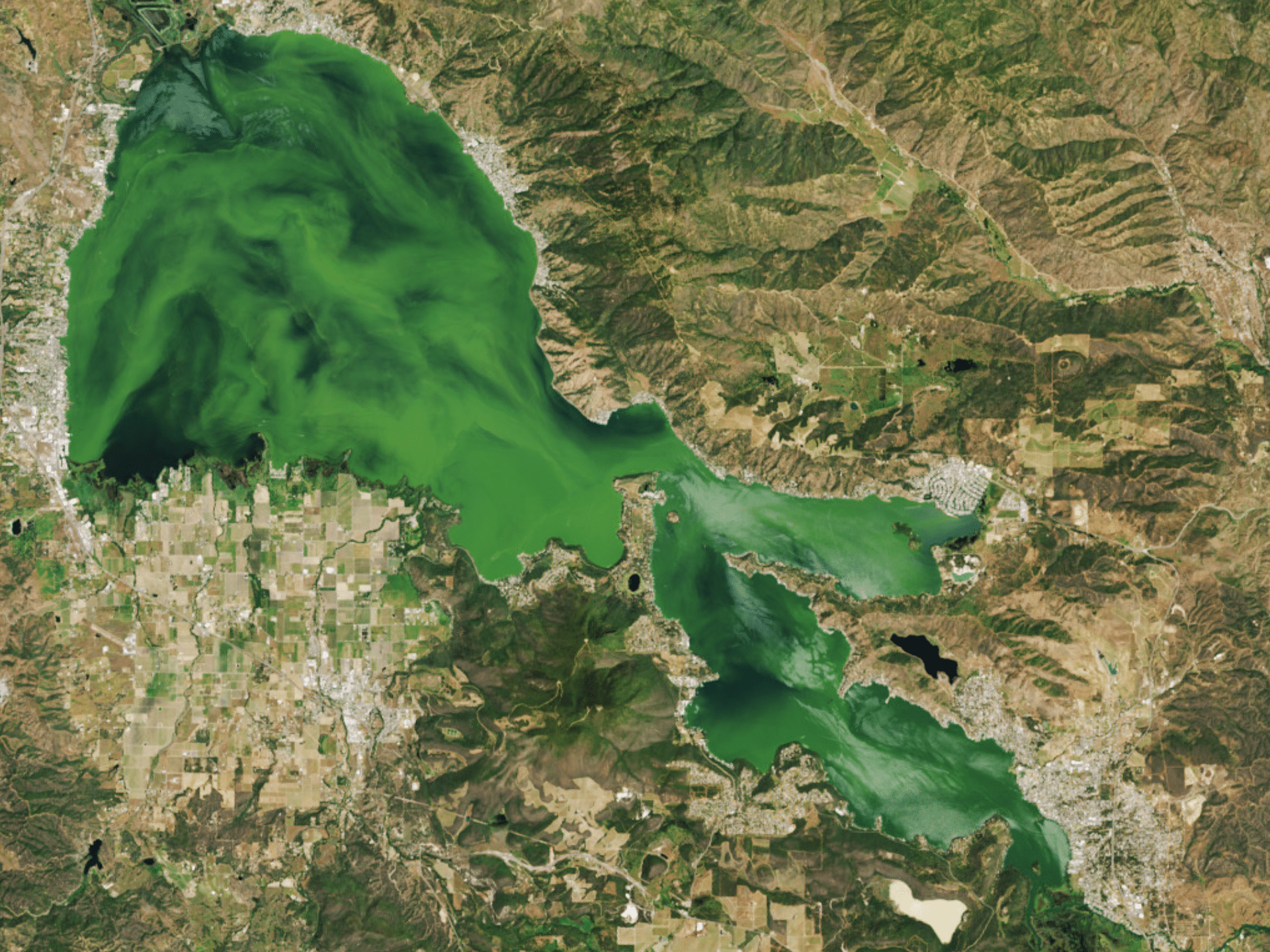 Lago Claro Oscurecido por Algas 