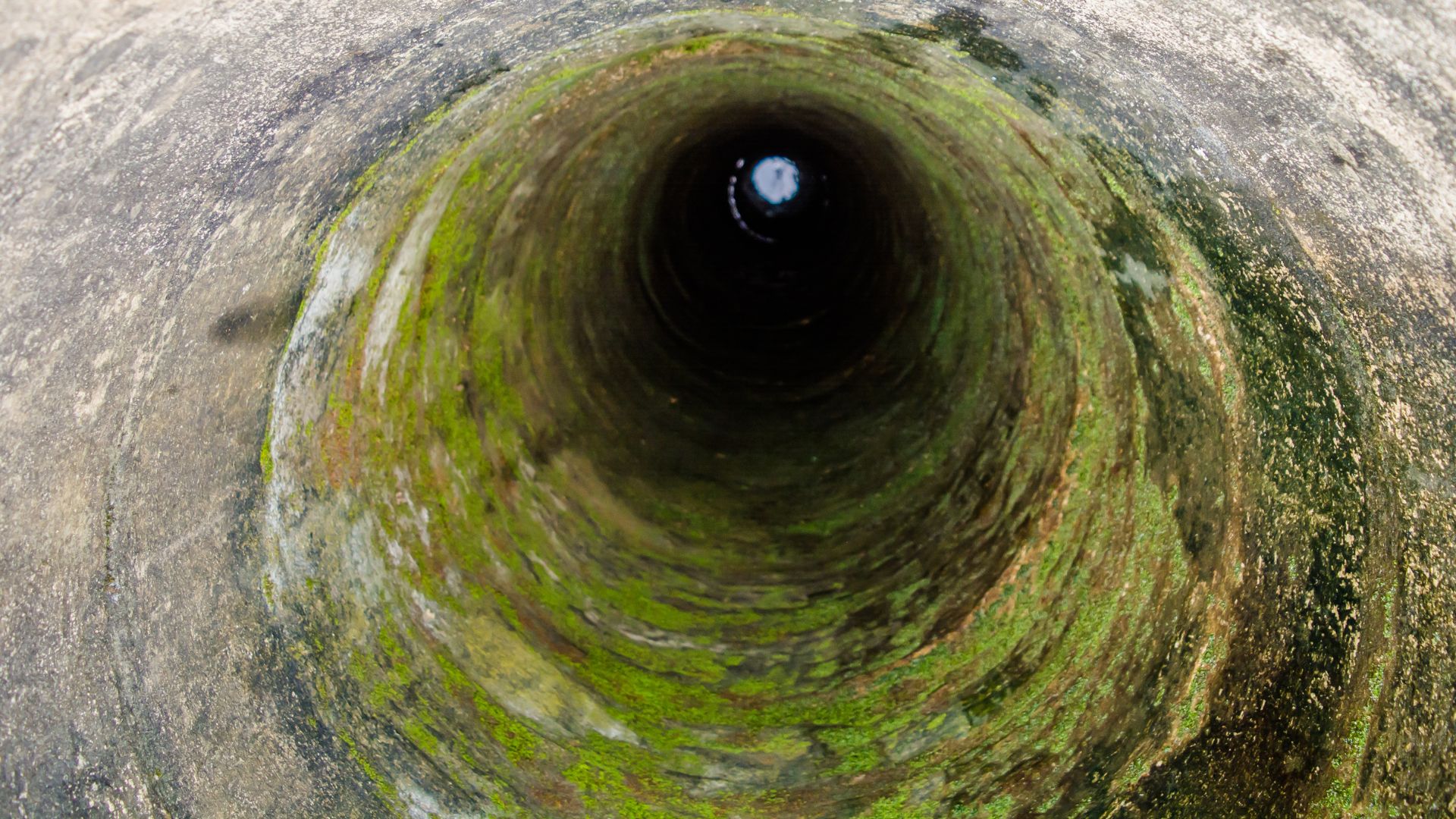 Tunnel covered in algae