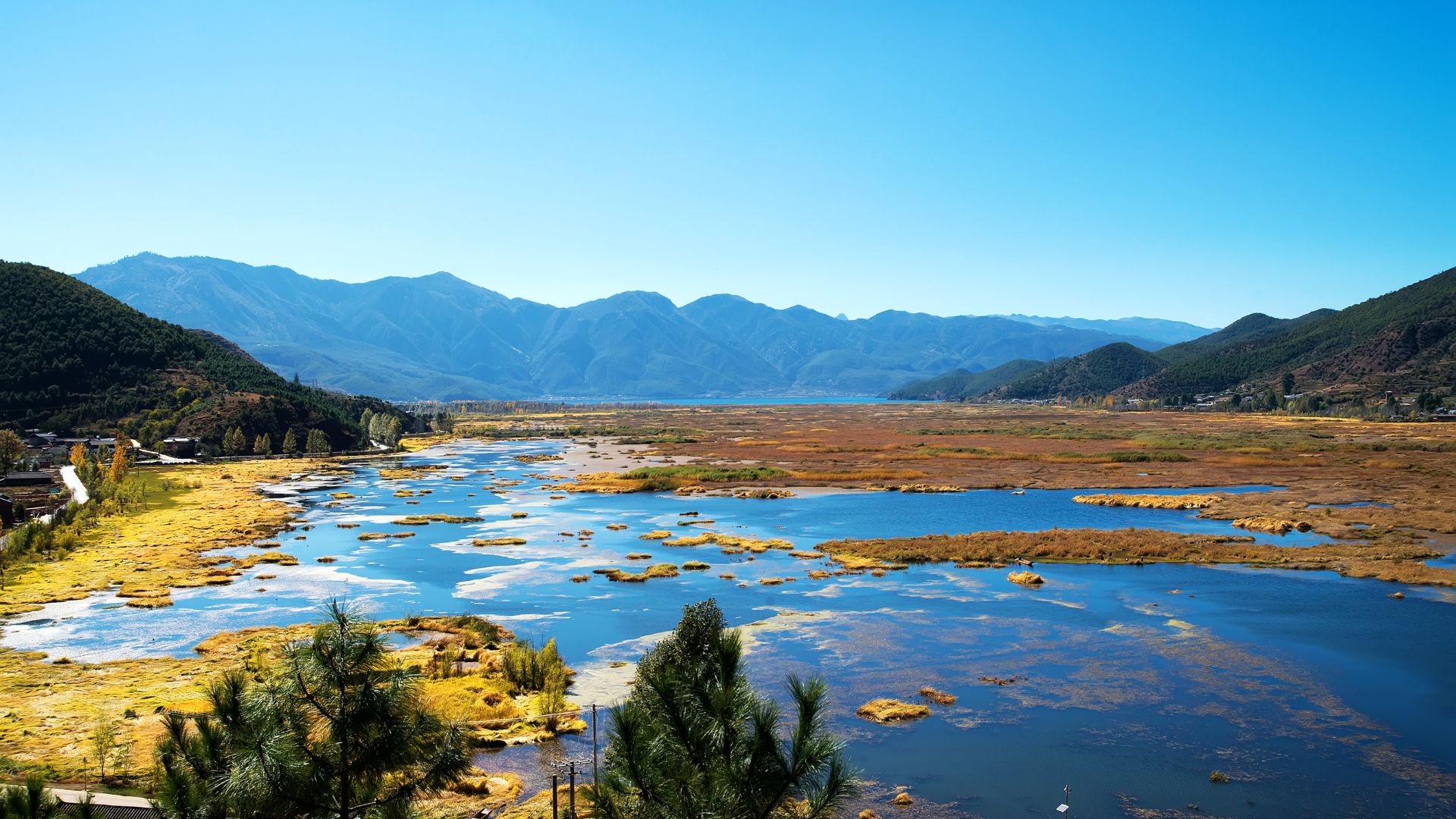 Example of a wetland: It acts as a natural filter, trapping sediments, nutrients, and pollutants from agricultural runoff with its dense vegetation and slow-moving water.