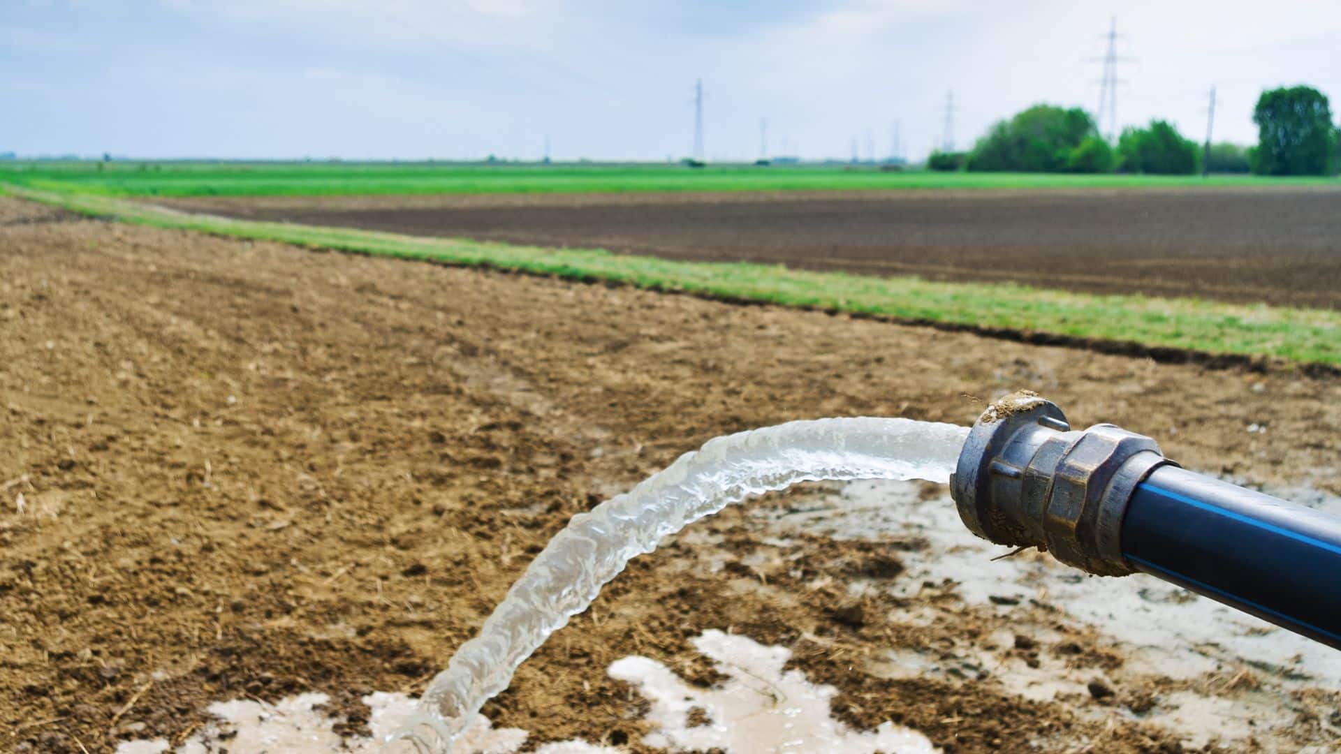 La sobreirrigación puede llevar a la lixiviación de nutrientes hacia las aguas subterráneas, lo que, en última instancia, contribuye a los florecimientos de algas en los cuerpos de agua cercanos.