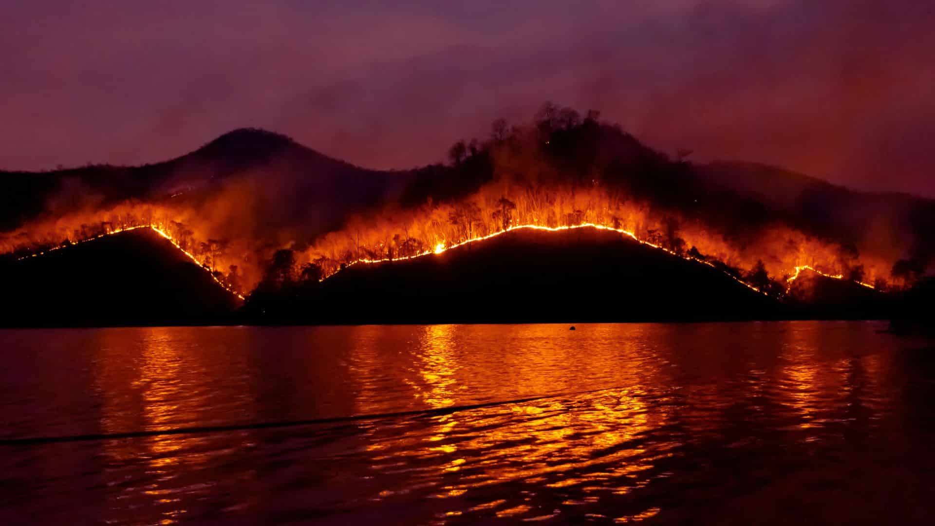 Wildfires in South America escalating at an alarming rate, ravaging forests, homes, and wildlife habitats.