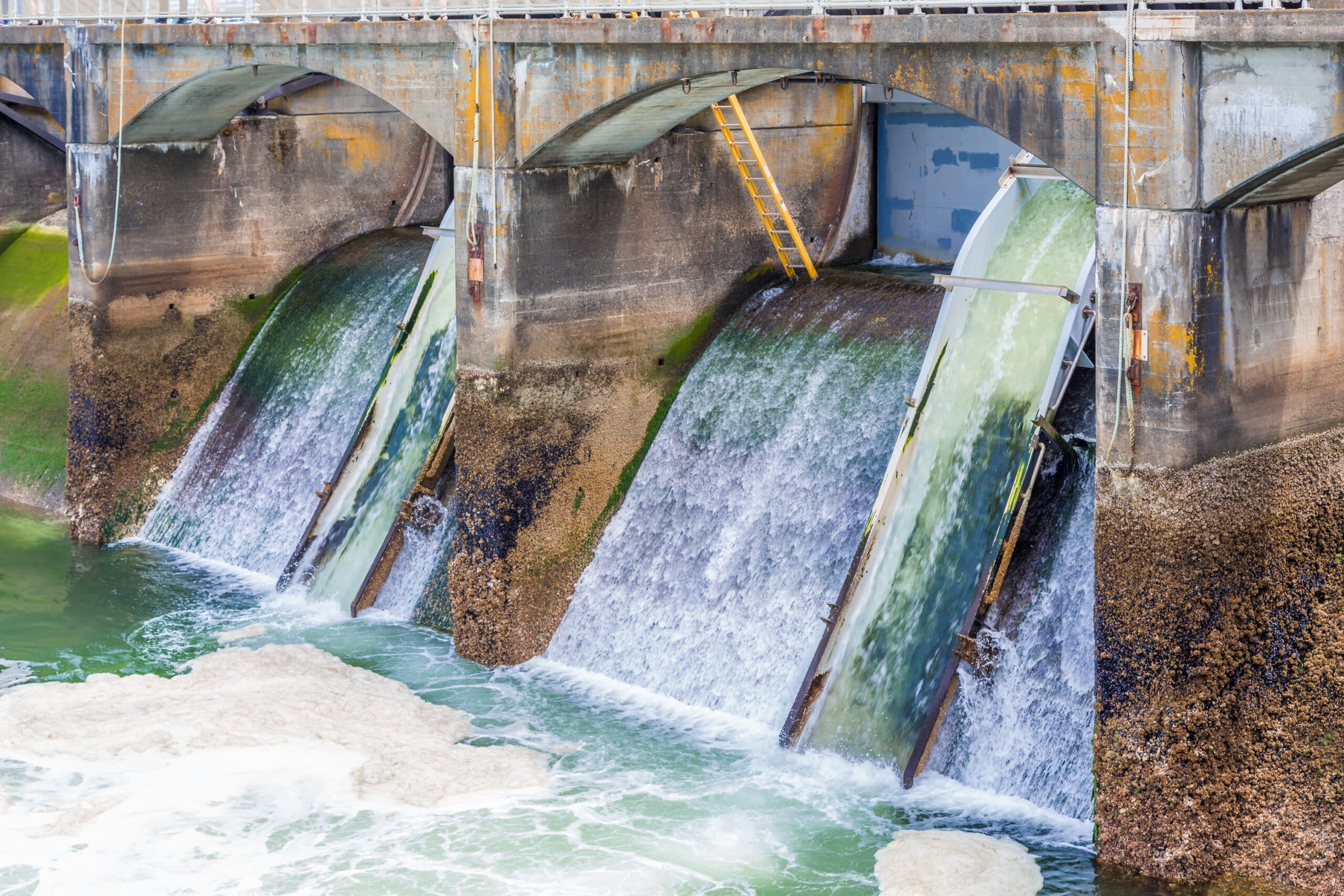 Hydropower facility affected by algae