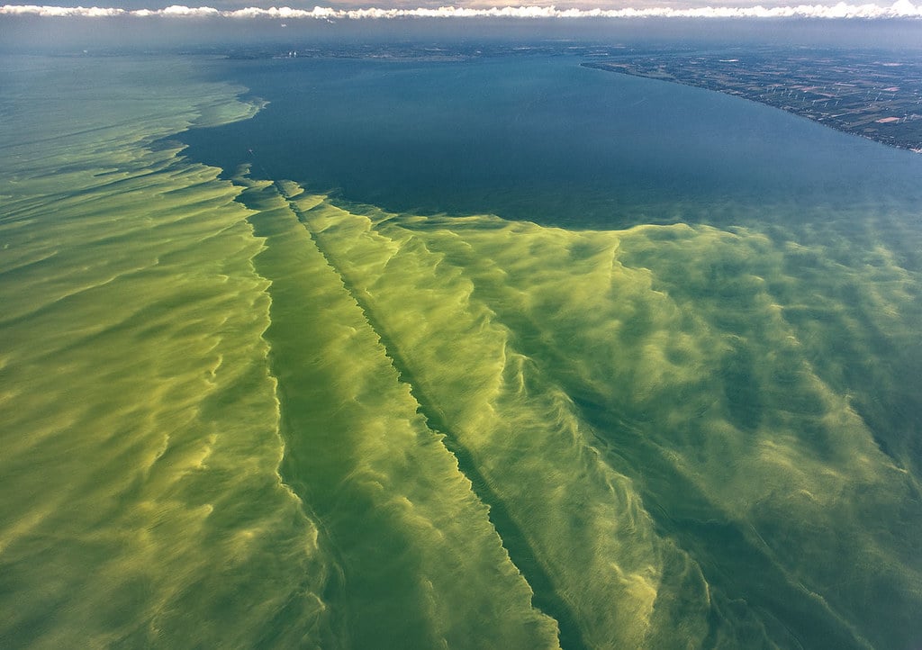 Lake Erie algal blooms